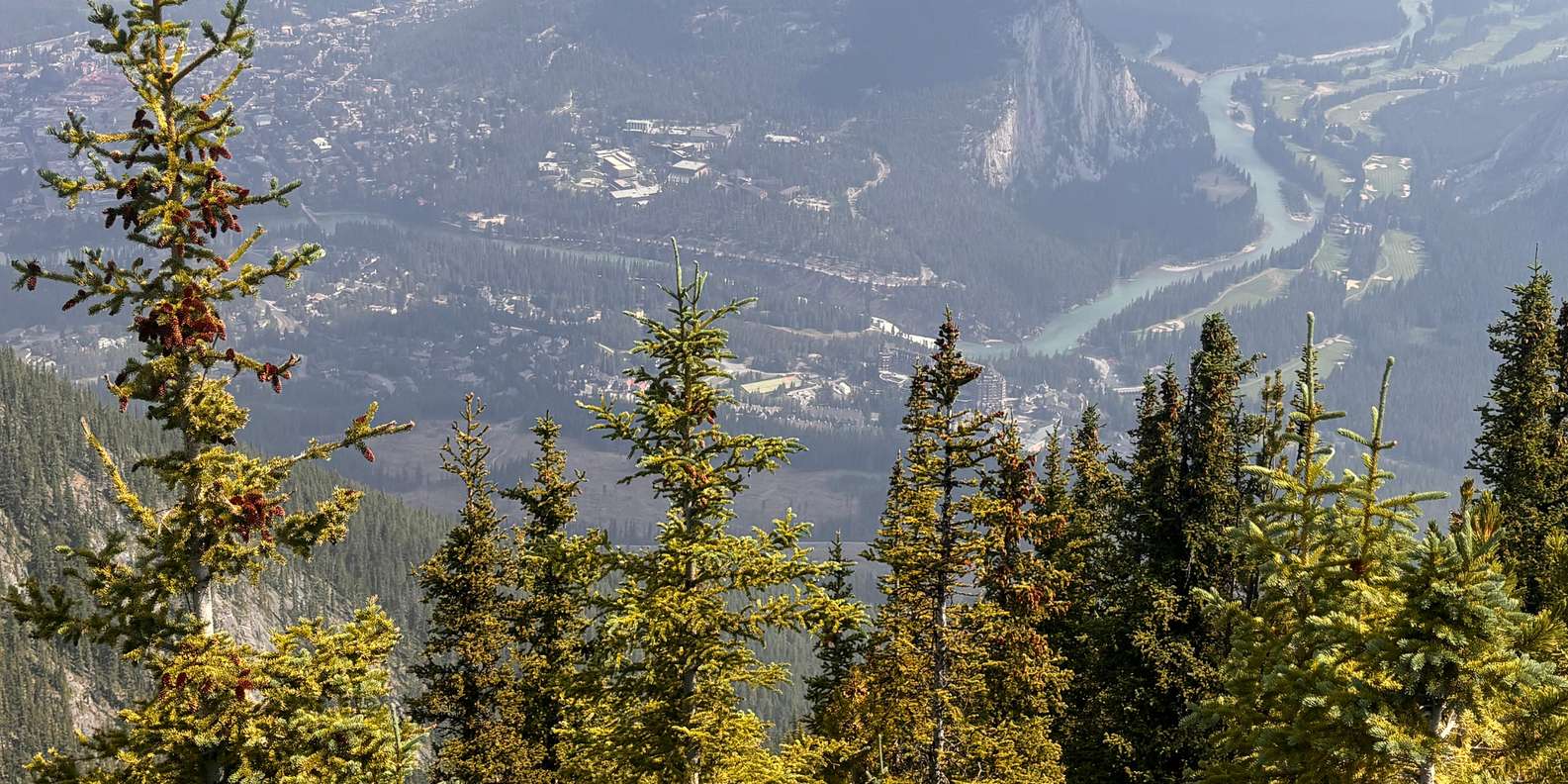 Photo d’un voyageur, tirée de son avis