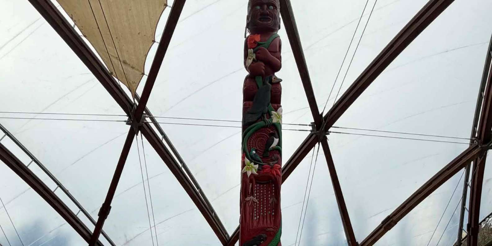 Guest photo from review
