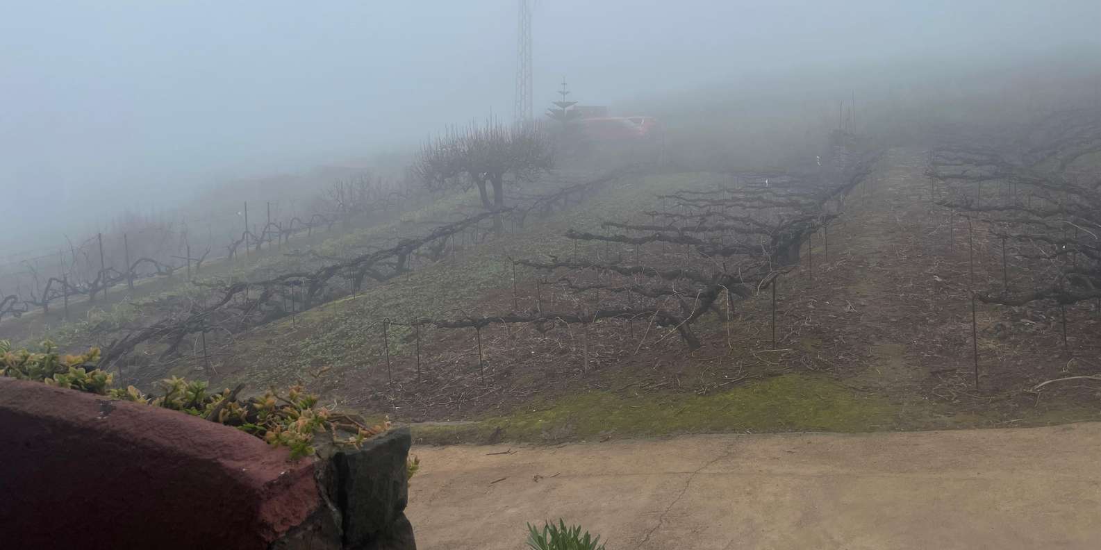 Guest photo from review