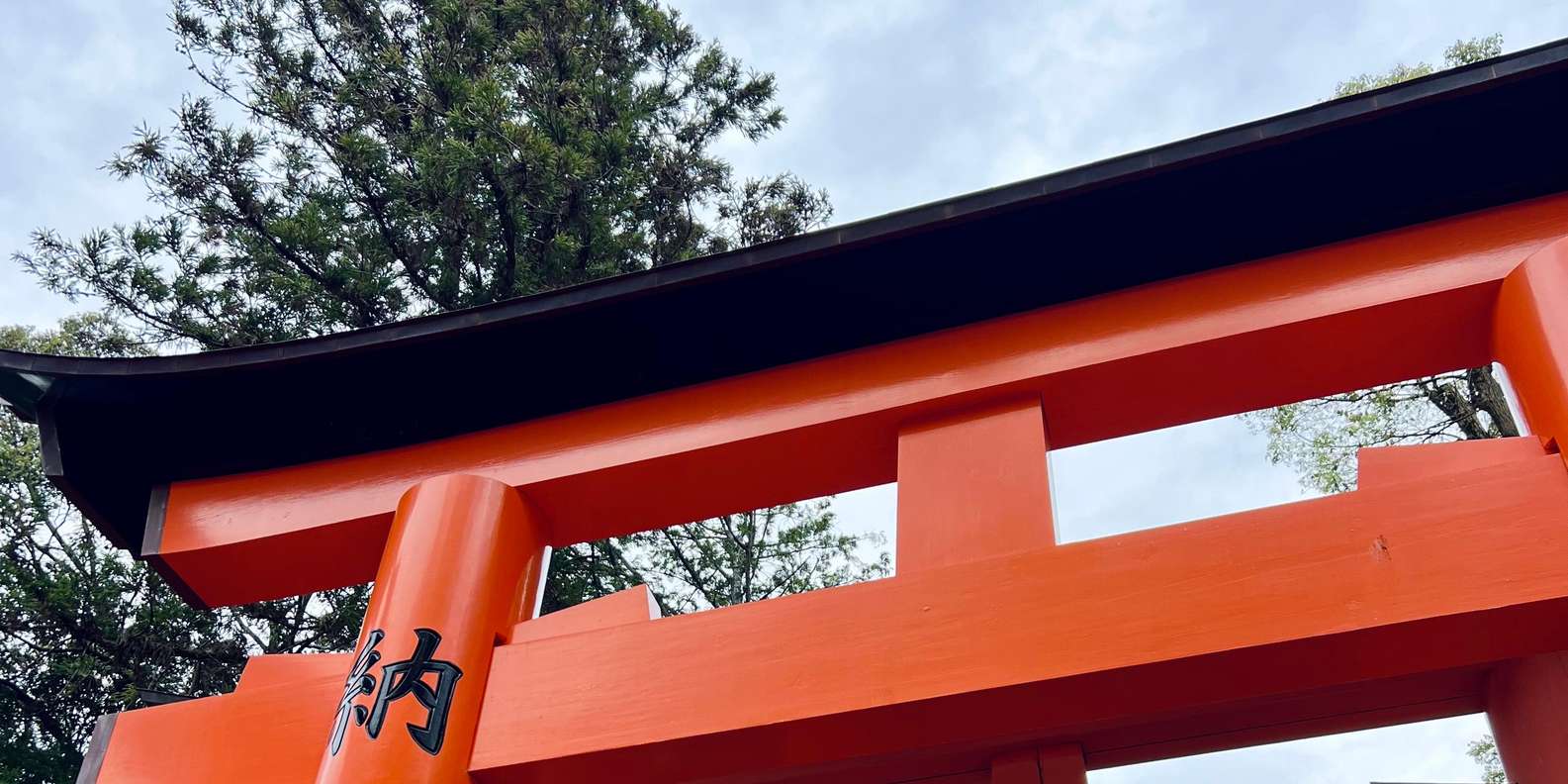 Guest photo from review