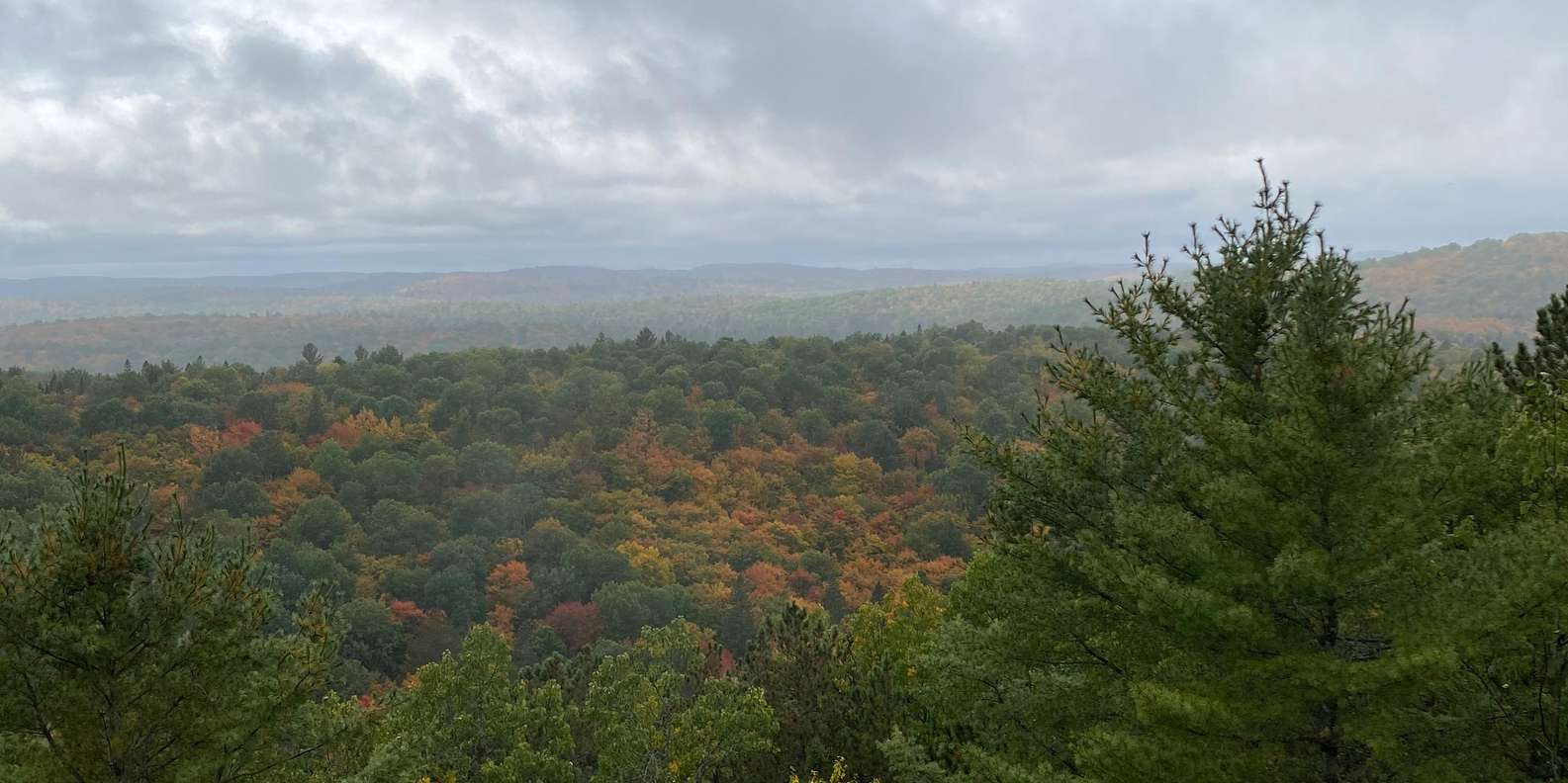 Guest photo from review