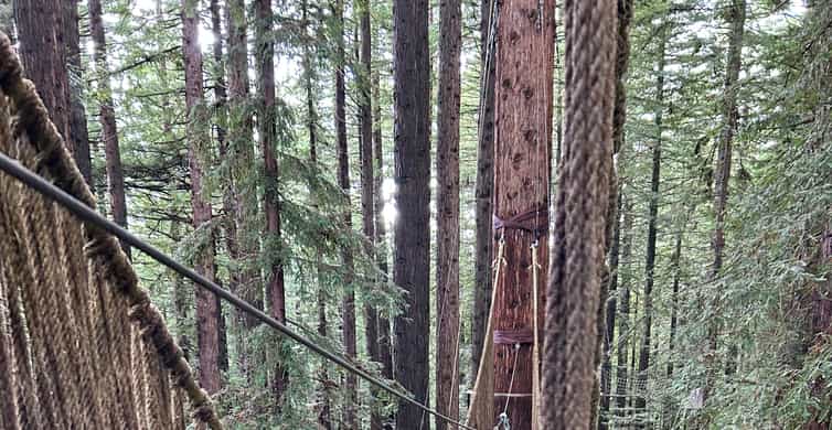 High Ropes Rotorua Rotorua: Redwoods Altitude High Ropes Adventure | GetYourGuide