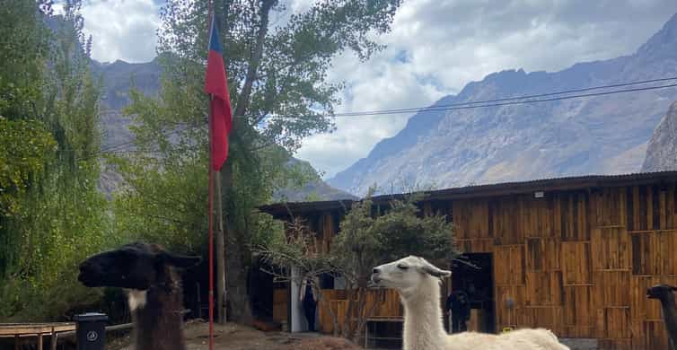 Galería de fotos para redes