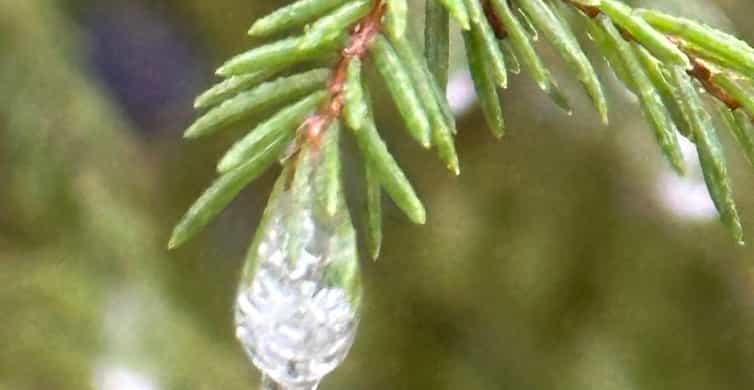 Colagem de mídia