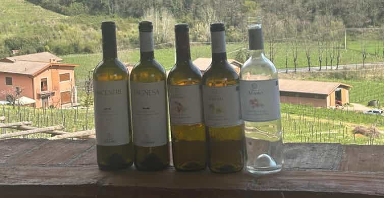 Colagem de mídia