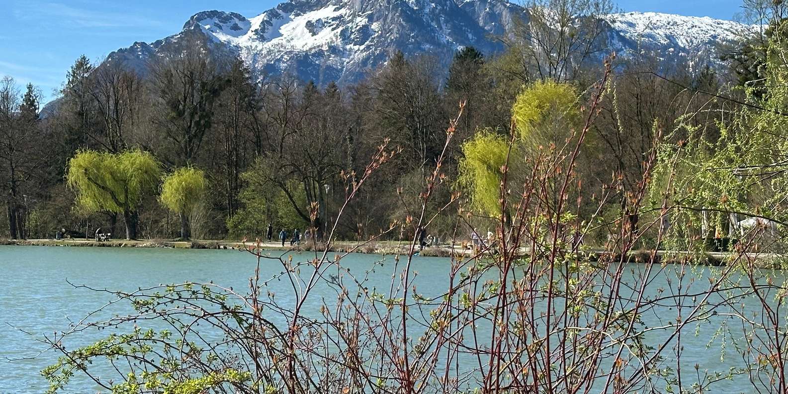 Guest photo from review