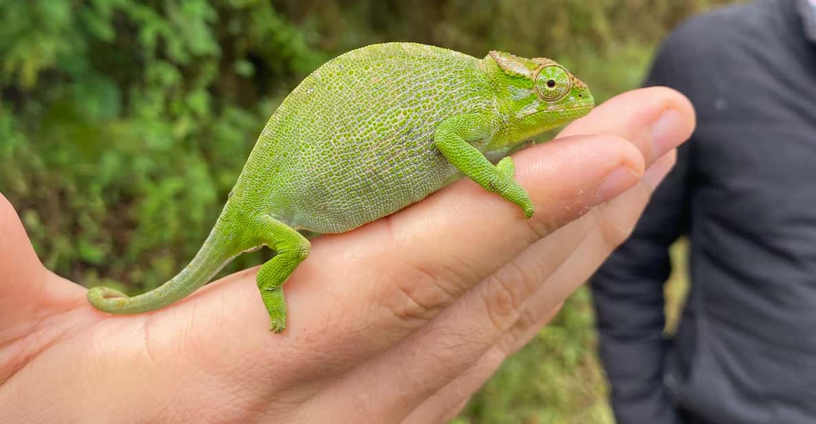 Colagem de mídia