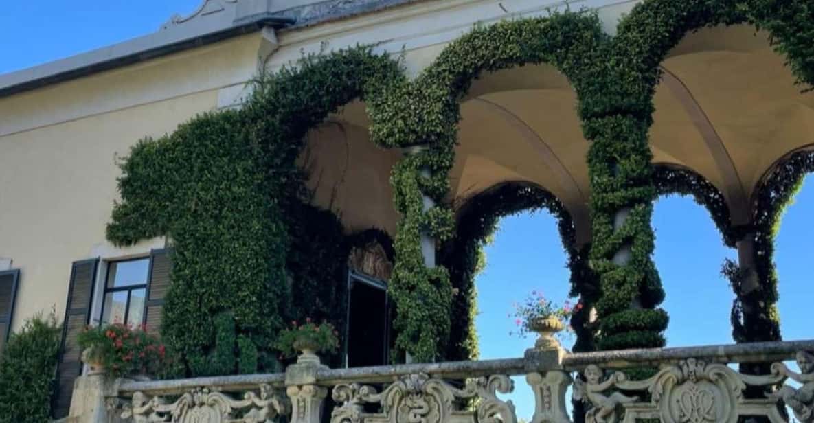 Galería de fotos para redes
