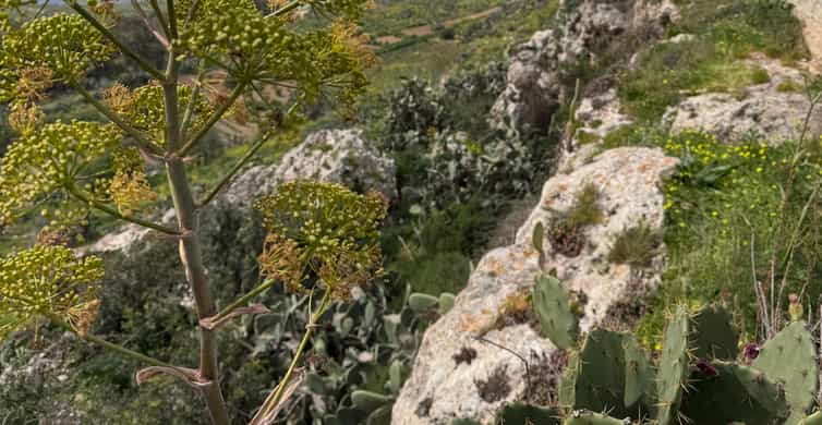 Colagem de mídia