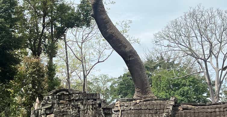 Colagem de mídia