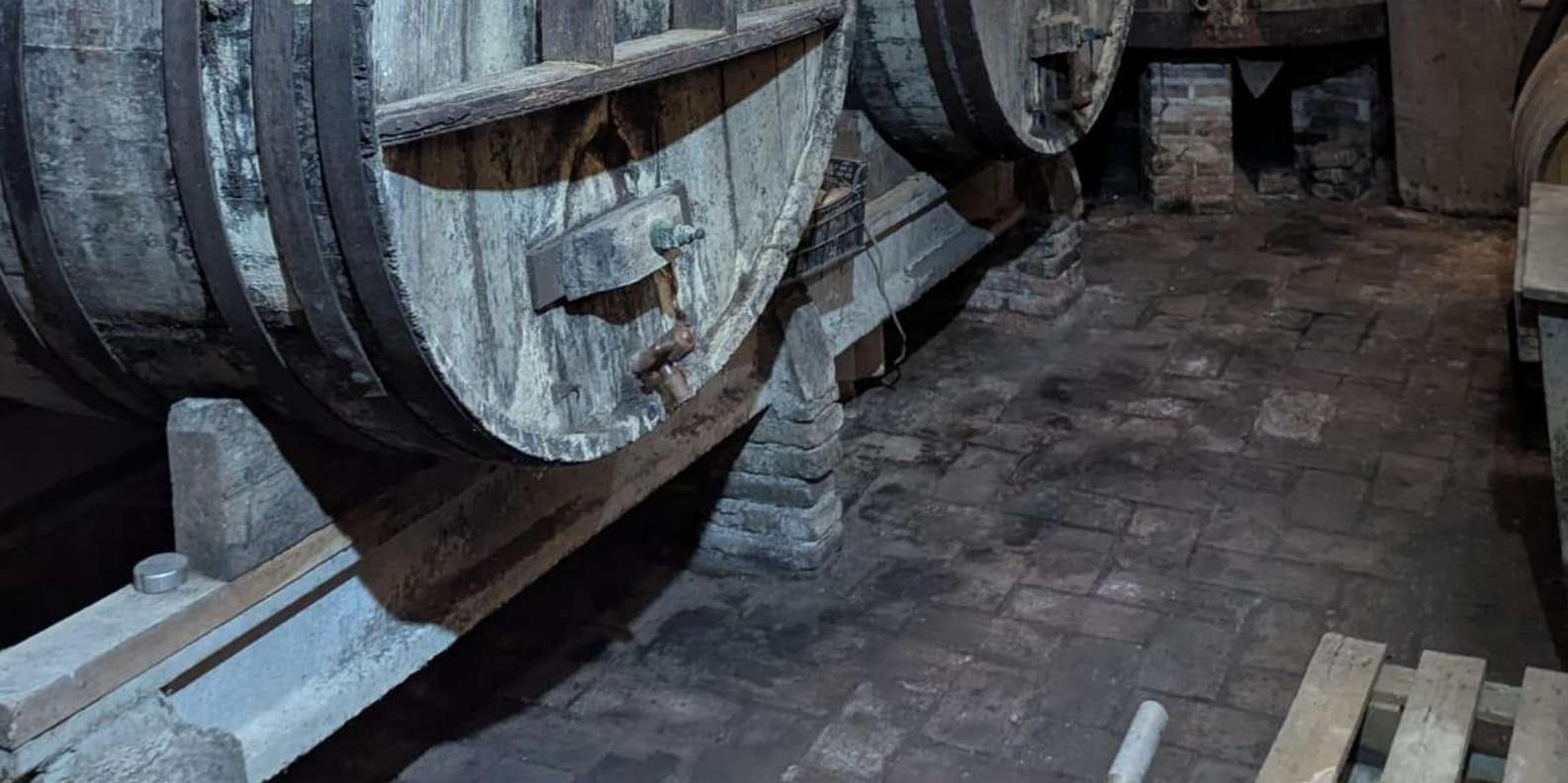 Guest photo from review