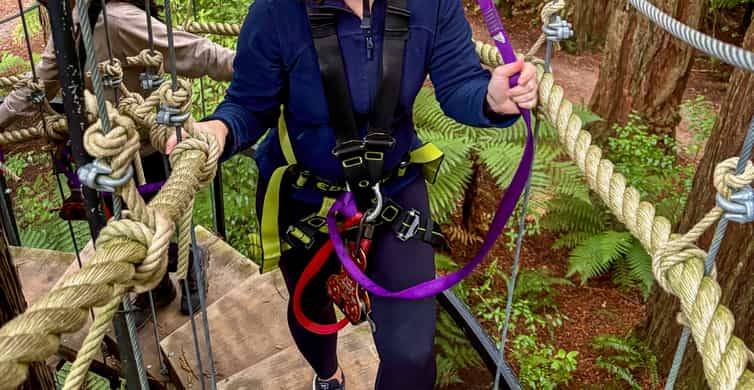 High Ropes Rotorua Rotorua: Redwoods Altitude High Ropes Adventure | GetYourGuide
