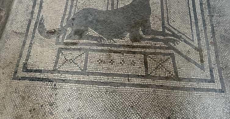 Galerie média