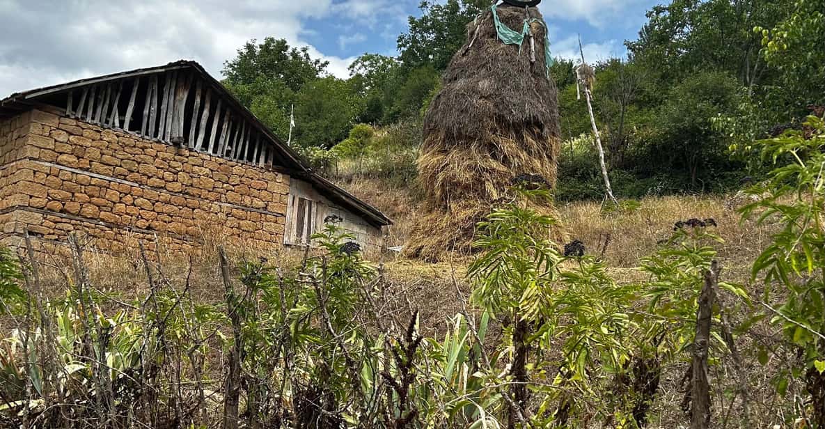 UNESCO Heritage Tour: Ancient Lin & Royal Tombs of Selca | GetYourGuide