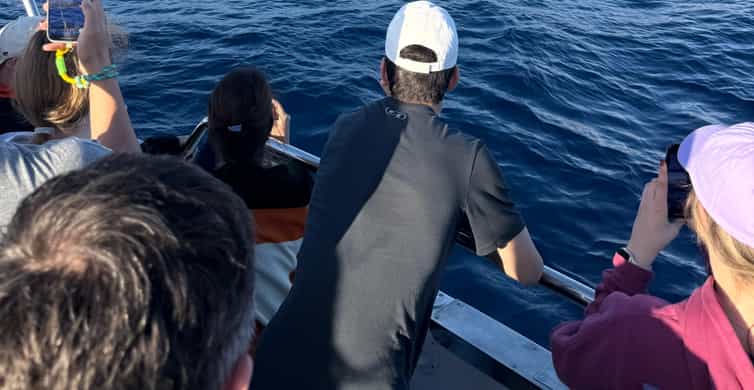 Galería de fotos para redes