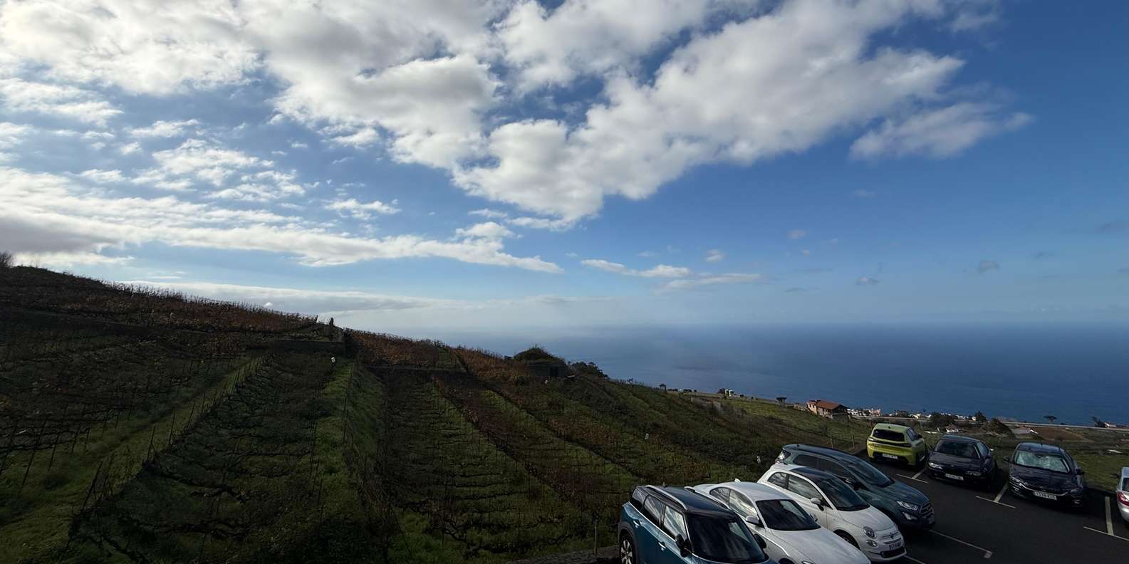 Guest photo from review