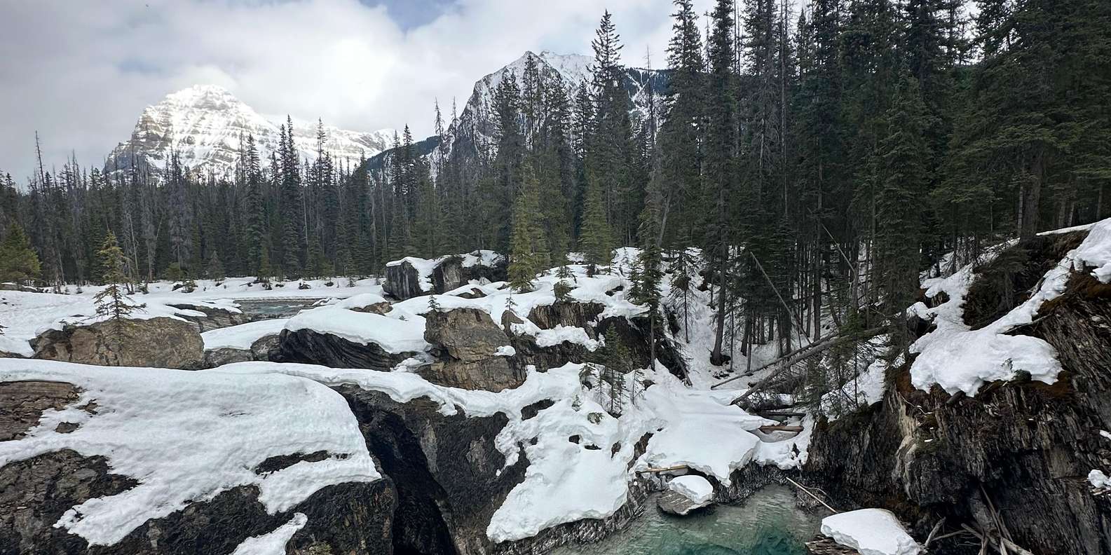 Guest photo from review