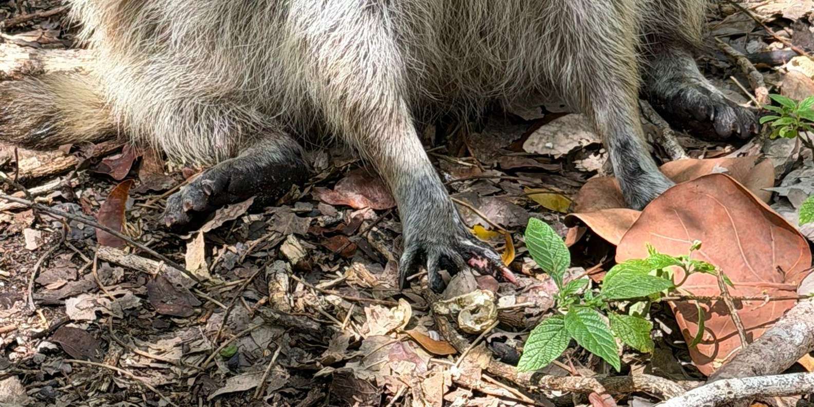 Guest photo from review