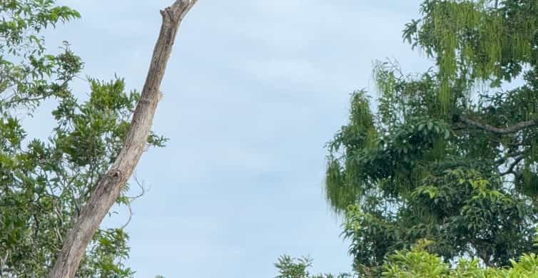 Colagem de mídia