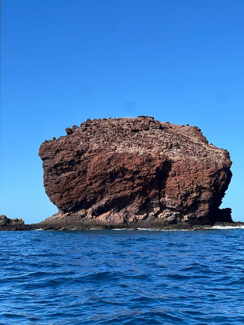 Maui: Semi-Private Eco-Raft Lanai Snorkel & Dolphin Tour - 2026