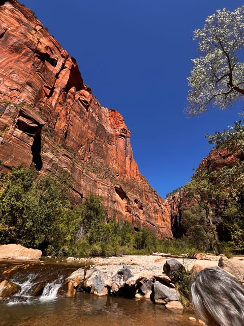 3 Hour Guided eBike Tour in Zion National Park