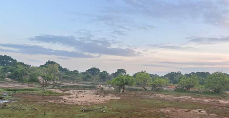 Colagem de mídia
