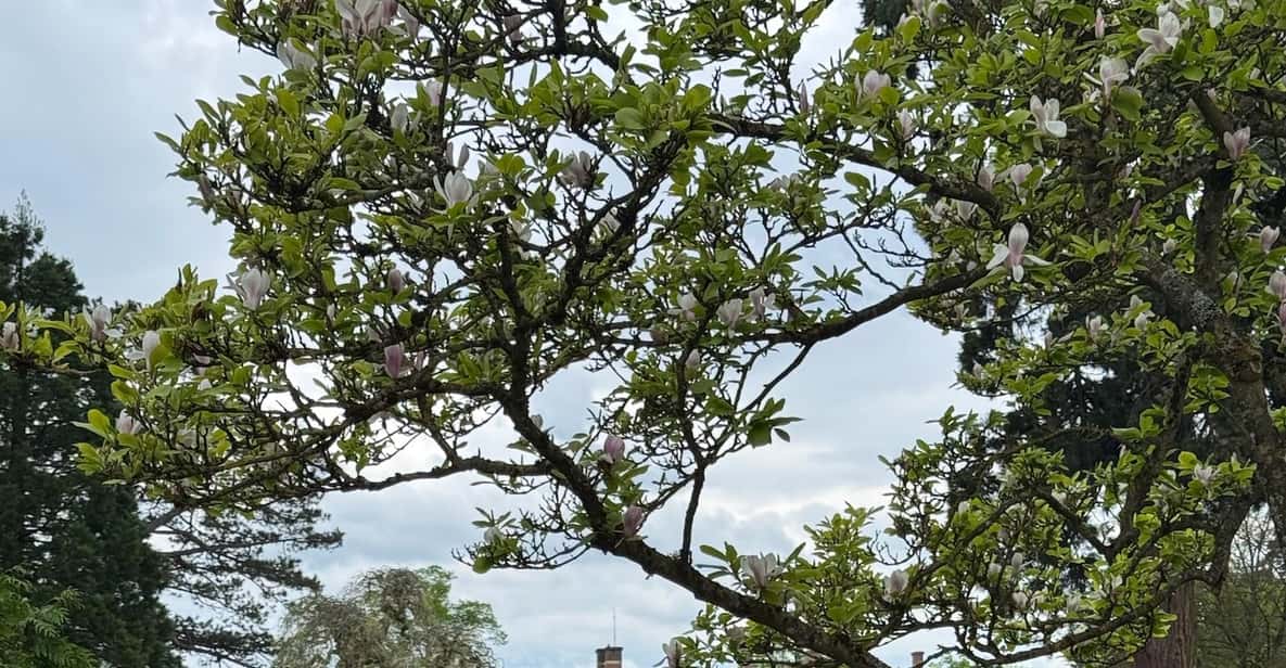 Colagem de mídia