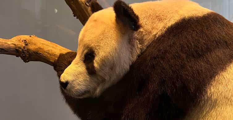 メディア コラージュ