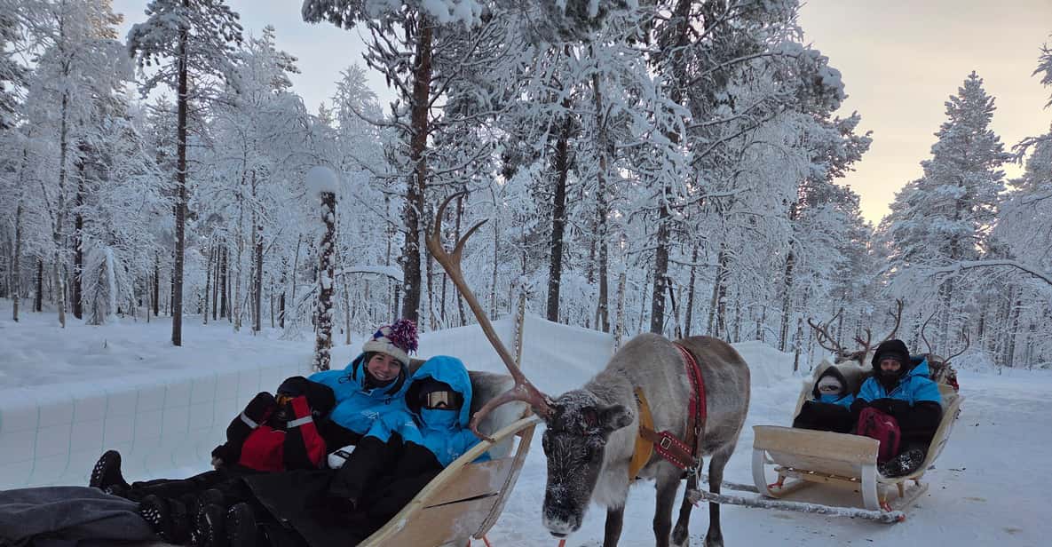 Levi: Arctic Combo – Husky & Reindeer Ride | GetYourGuide