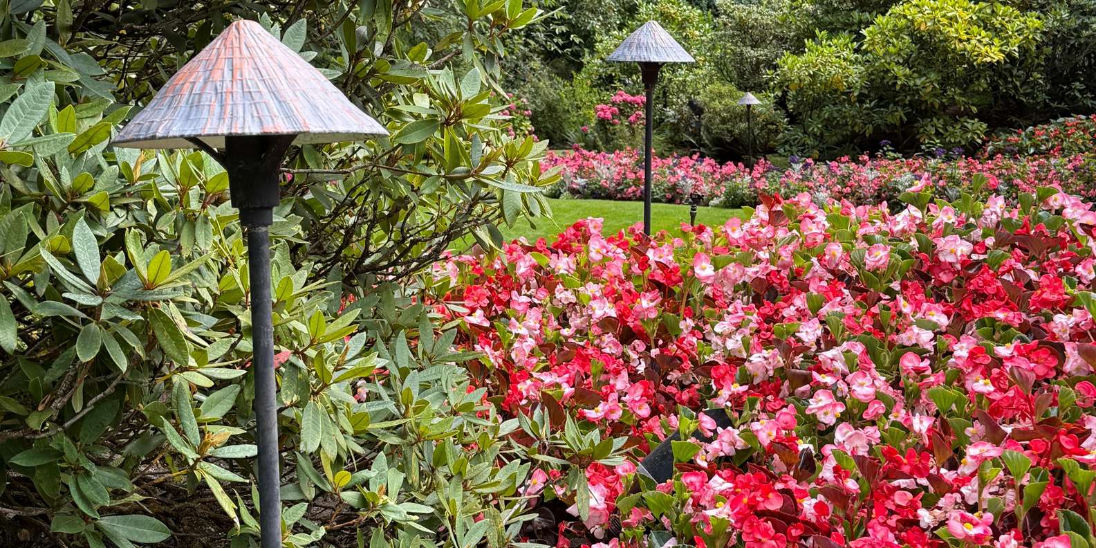 Guest photo from review