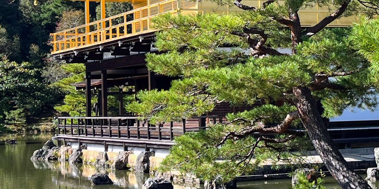 Guest photo from review