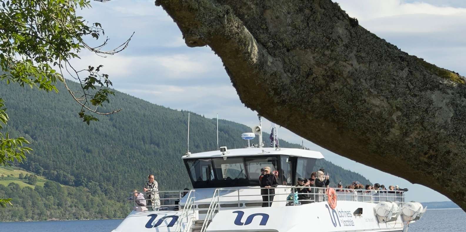Guest photo from review