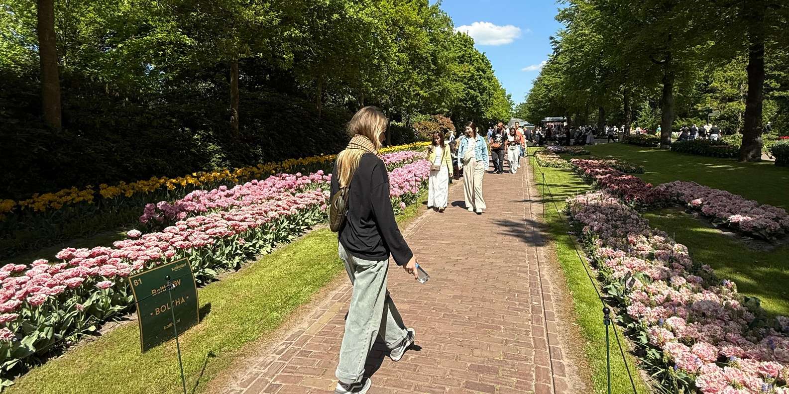 Guest photo from review