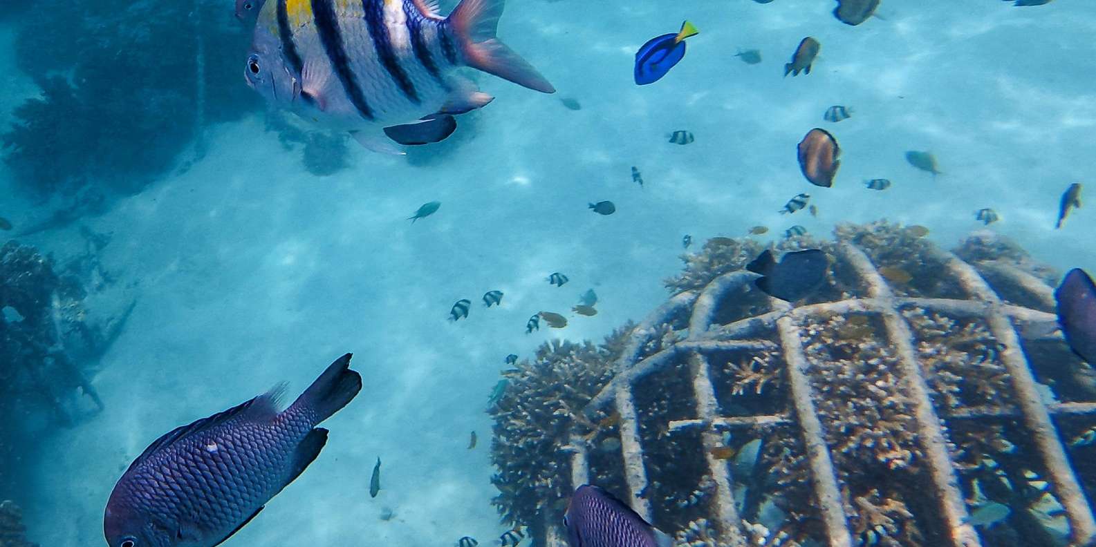 Guest photo from review