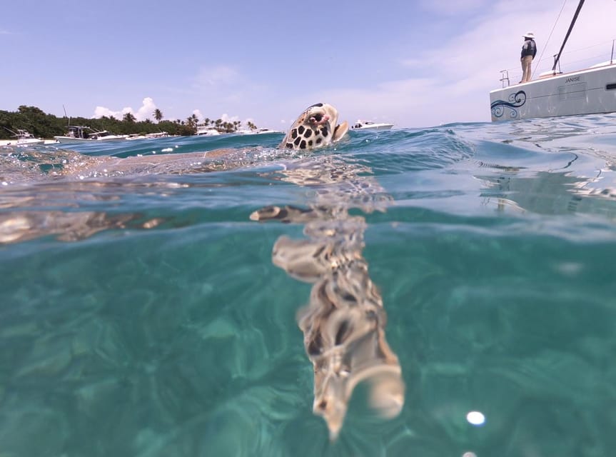Fajardo: Catamaran Day Cruise to Palomino Island with Lunch