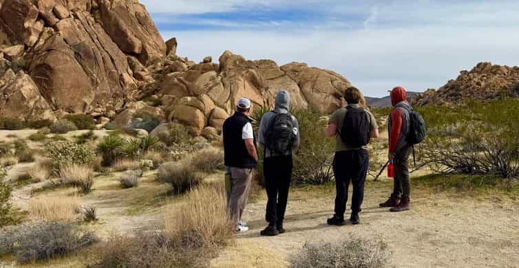 Nature Walk+Cacao Ceremony+Soundbath Meditation- Joshua Tree | GetYourGuide