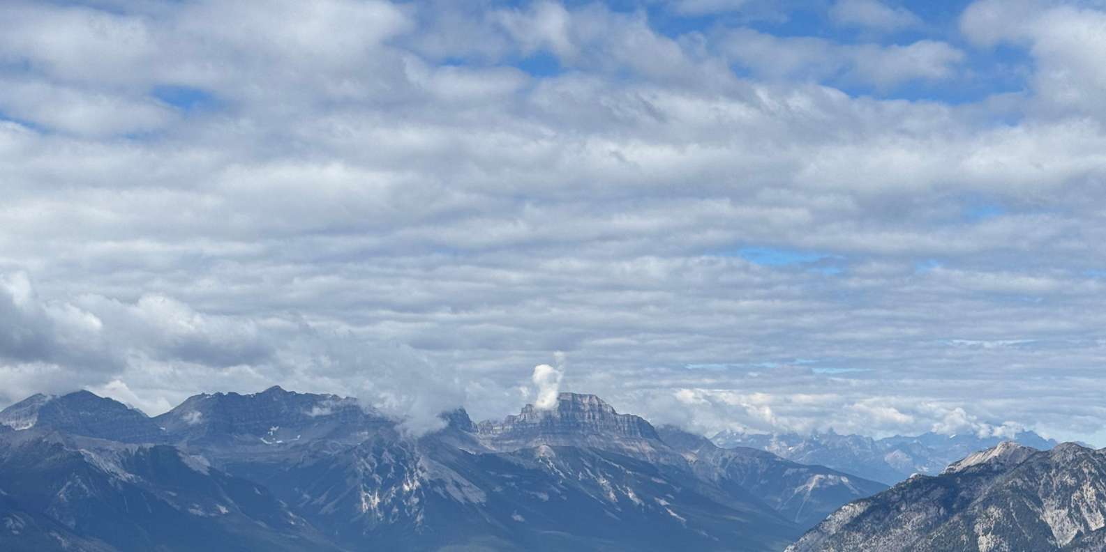 Photo d’un voyageur, tirée de son avis
