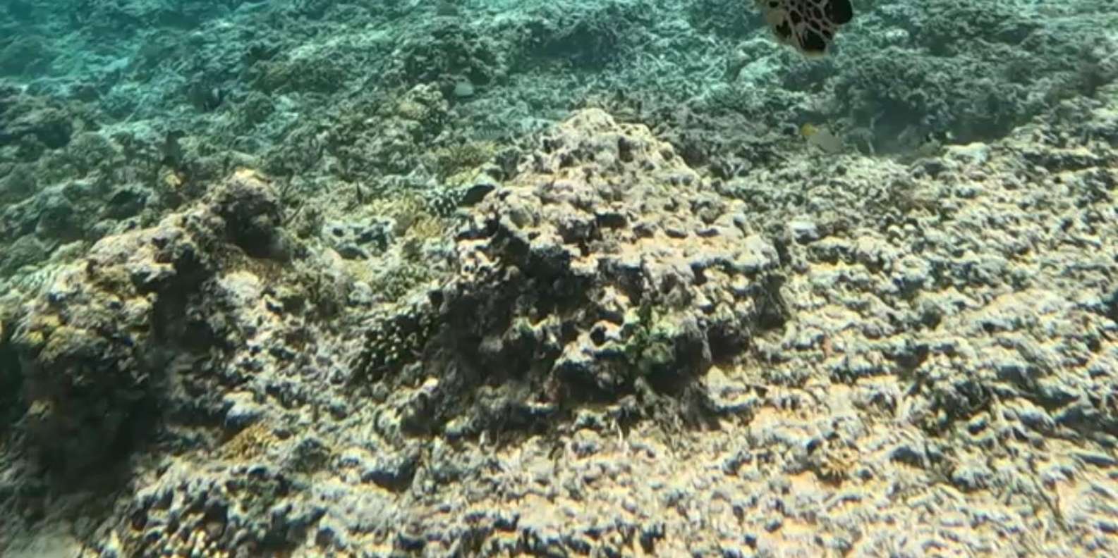 Guest photo from review