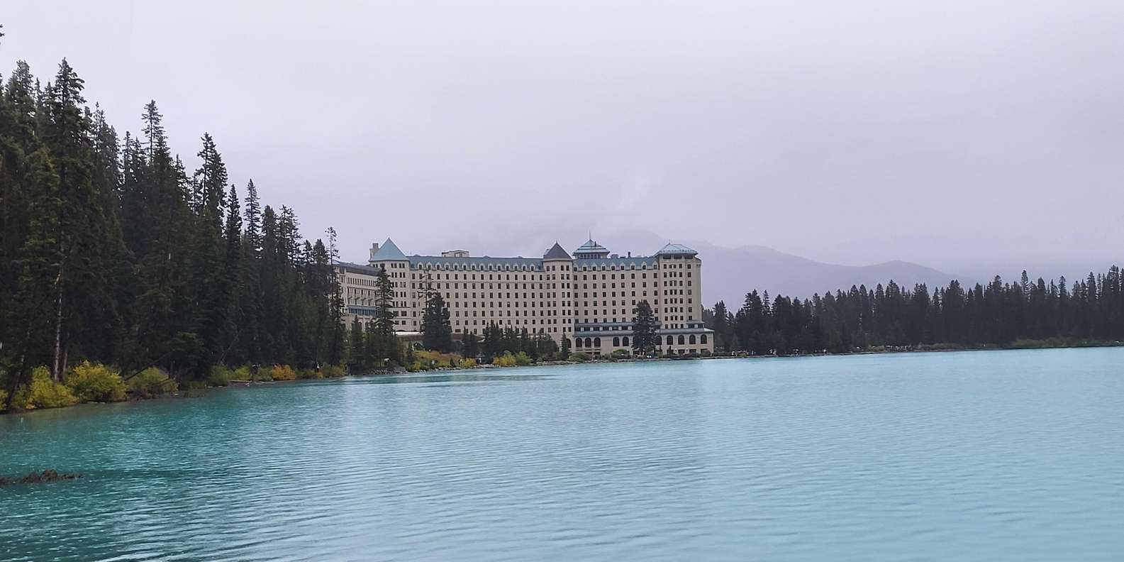 Guest photo from review