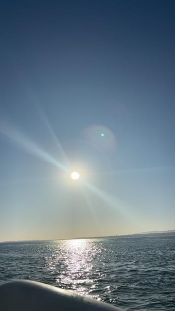 Olhão: Ria Formosa Tour