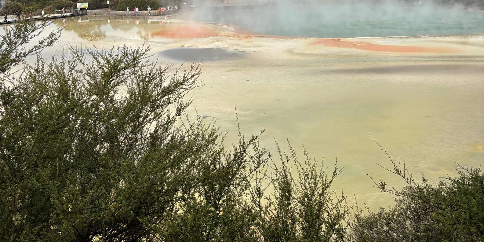 Guest photo from review