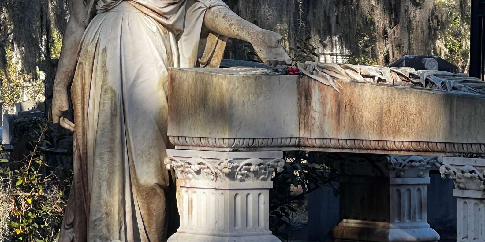 Guest photo from review