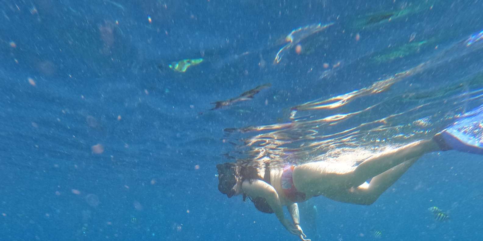 Guest photo from review