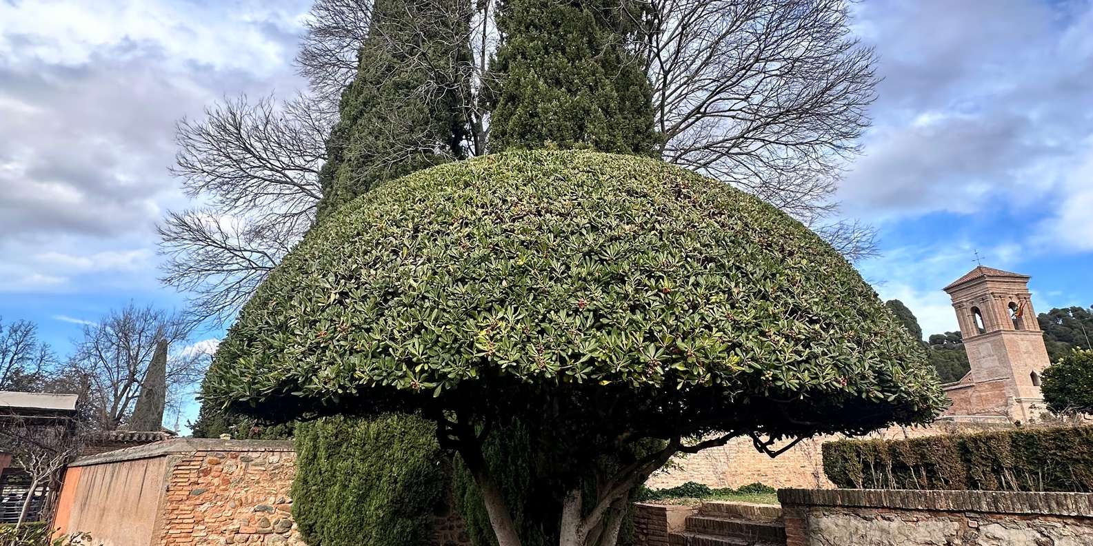 Guest photo from review