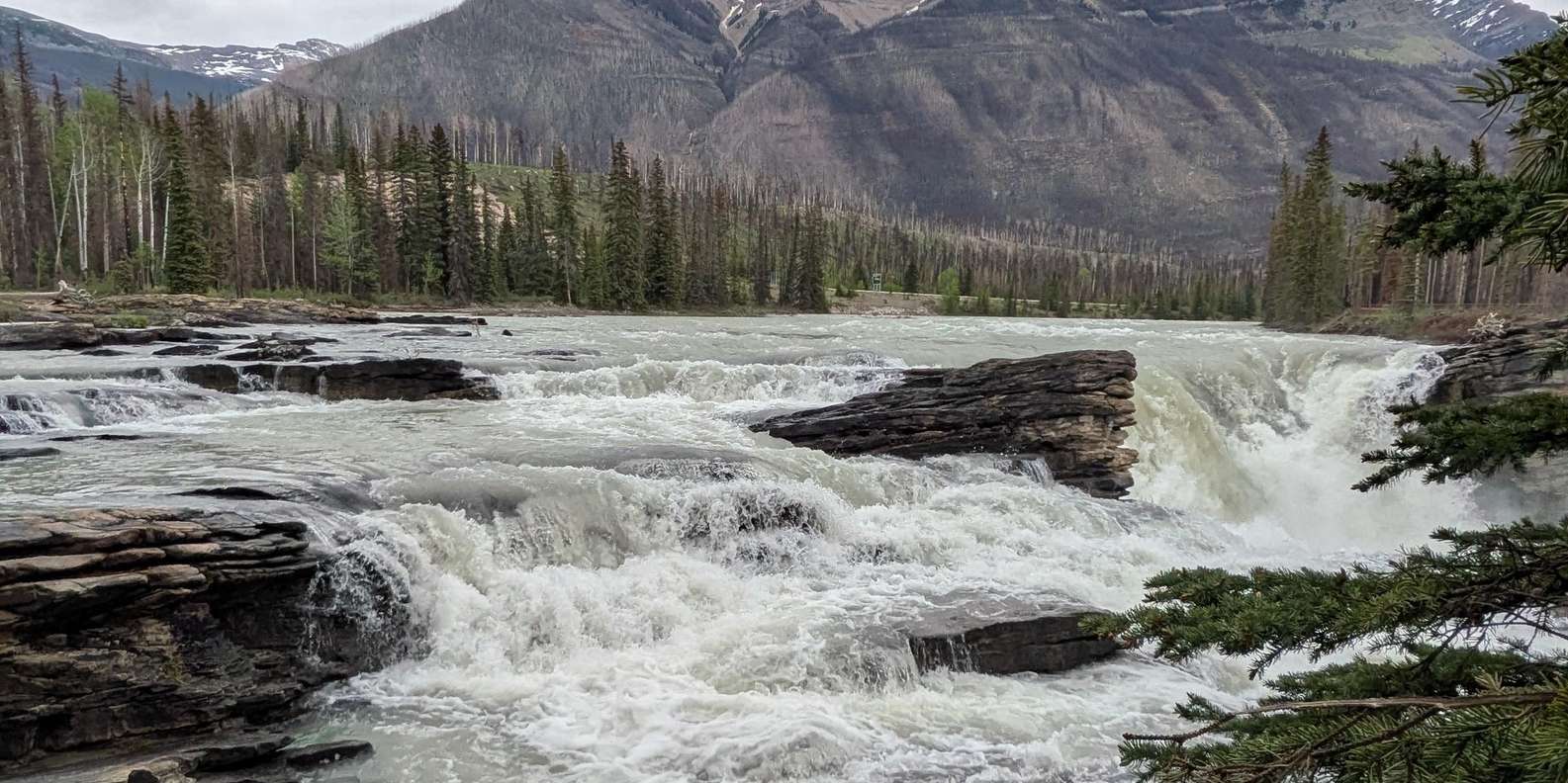 Guest photo from review
