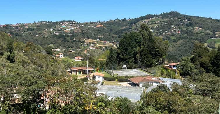 Colagem de mídia