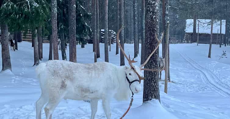 Медиаколлаж