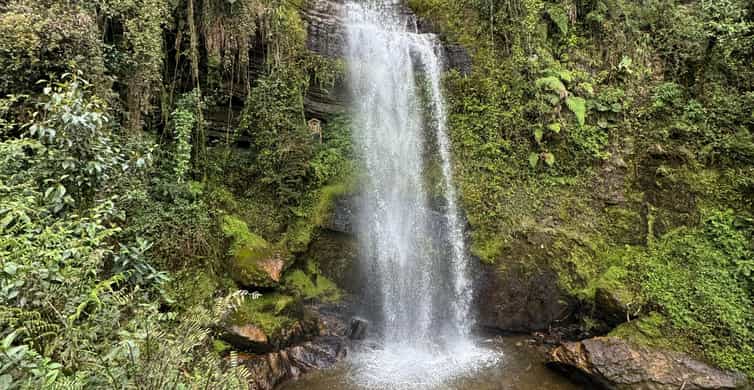 Colagem de mídia