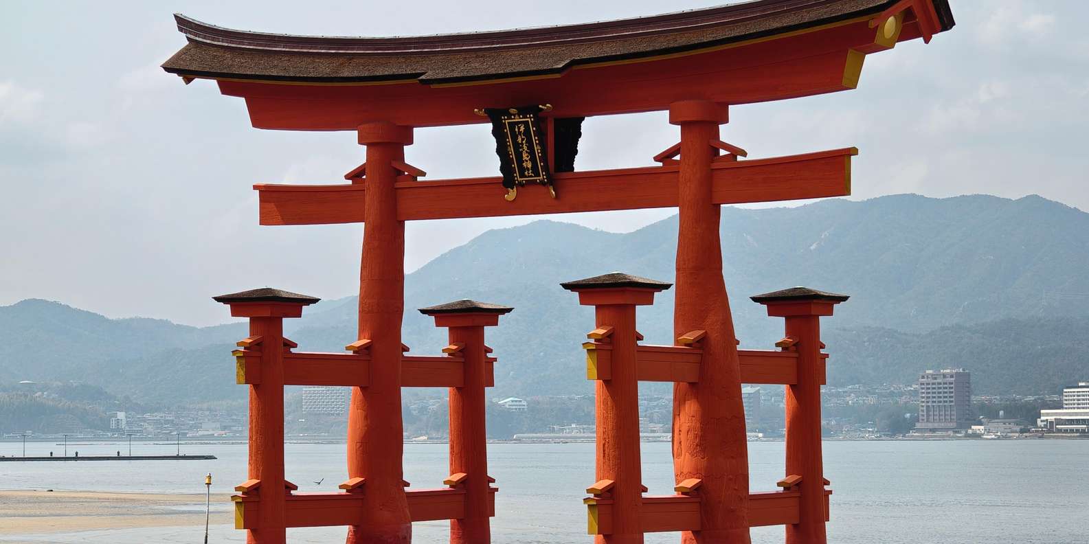 Guest photo from review