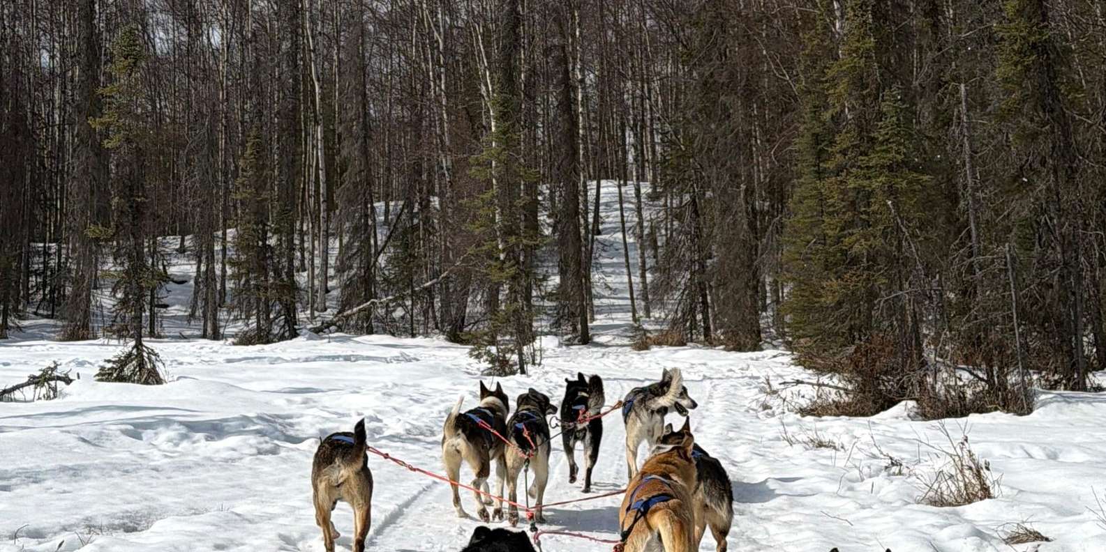 Guest photo from review